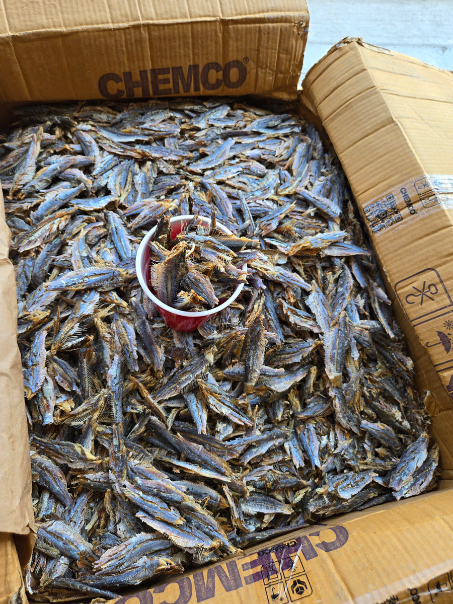 dry tiny fish in box Dry Shaawa Fish/Bonga Fish/Smoked Herring fish