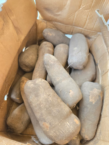 African tuber of yam/Ghana yam/New yam