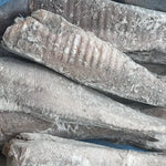 Frozen Whiting fish