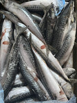 Mackerel Fish